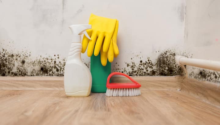 About-Mold-Removal in Escondido