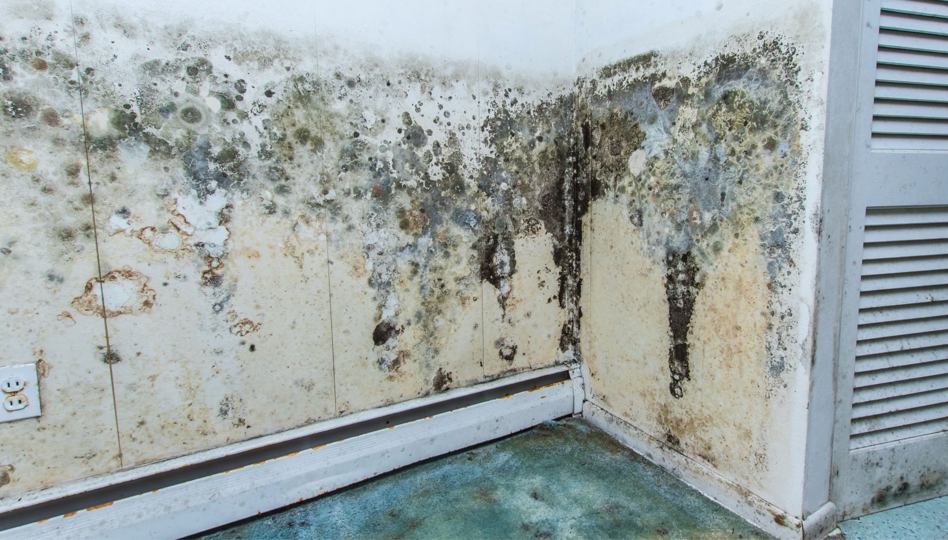 Mold-Damager-Odor-Control in Escondido