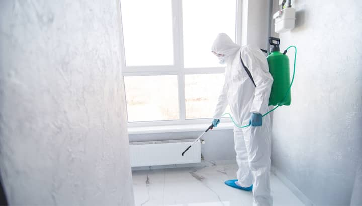 Mold-Inspection in Escondido